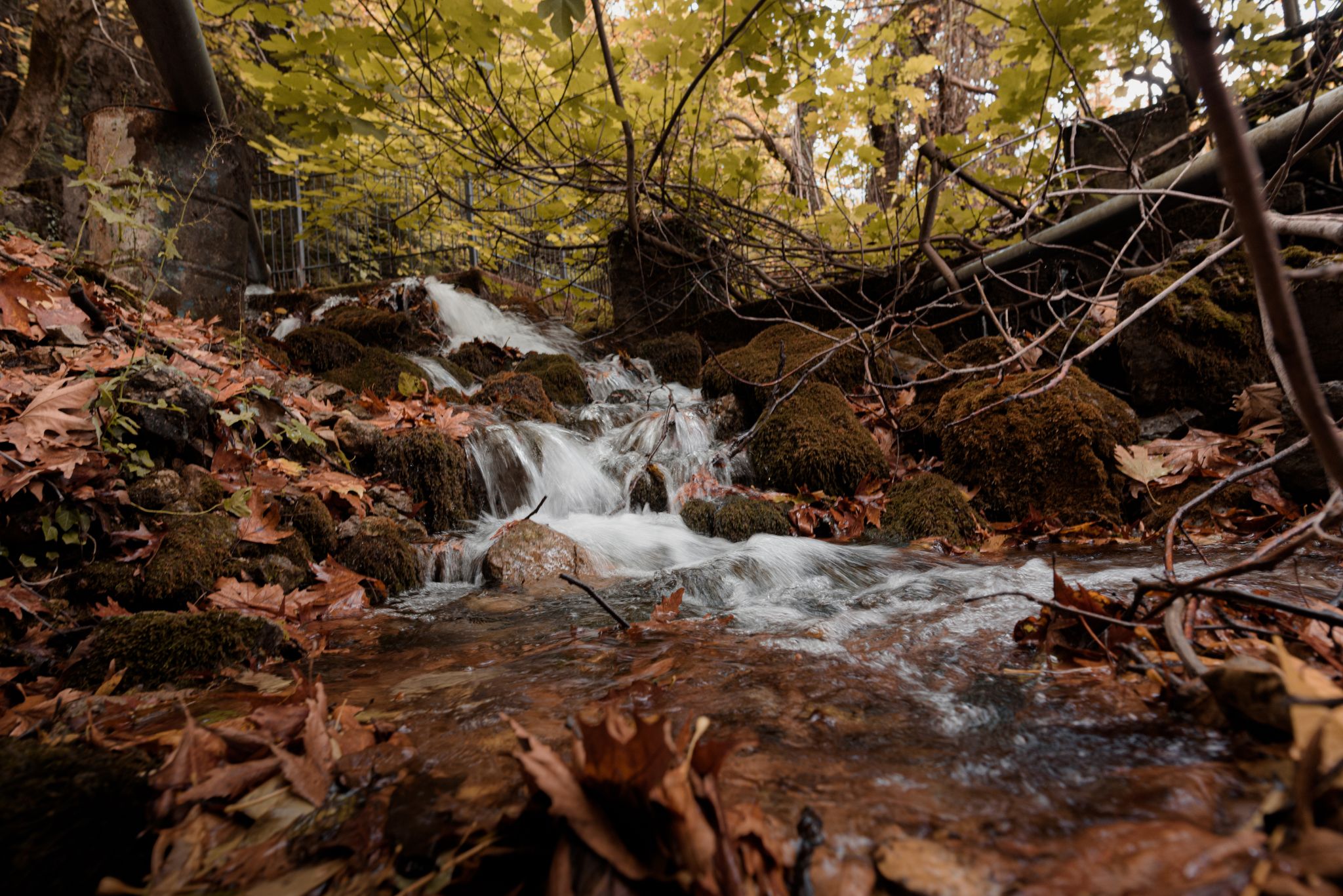 Parnassus Dreamwood Chalet